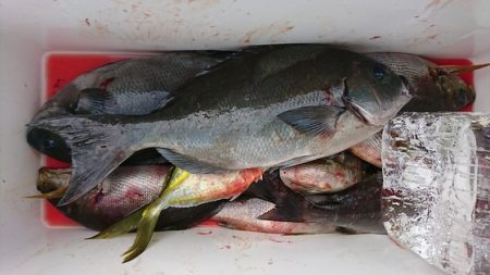 しば渡船 釣果