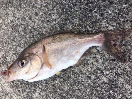 誰もいない・・