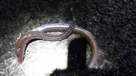 爆風の中釣り納めに