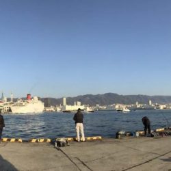 マイワシの呑ませ釣行