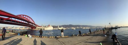 マイワシの呑ませ釣行