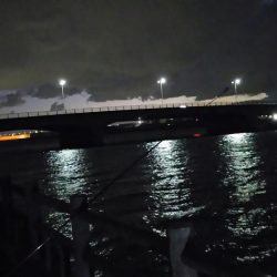 爆風の中釣り納めに