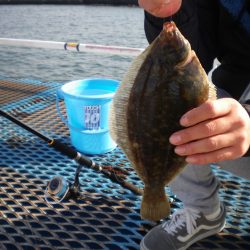 オリジナルメーカー海づり公園(市原市海づり施設) 釣果