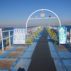 オリジナルメーカー海づり公園(市原市海づり施設) 釣果