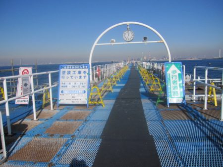 オリジナルメーカー海づり公園(市原市海づり施設) 釣果