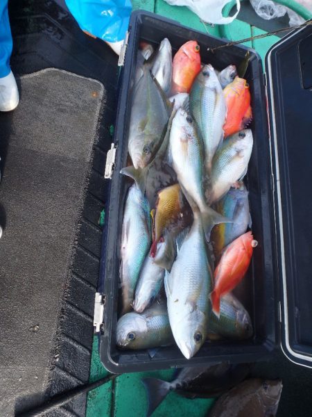 フィッシングハウス伊藤 釣果