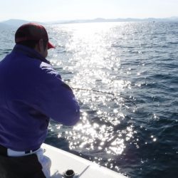 BlueNote Fishing Taxi 釣果