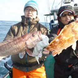 真祐丸 (しんゆうまる) 釣果