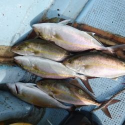 第五慶門丸 釣果