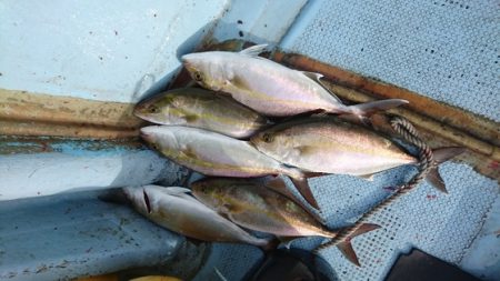 第五慶門丸 釣果