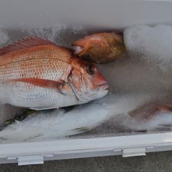 八海丸 釣果
