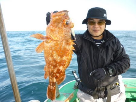 真祐丸 （しんゆうまる） 釣果