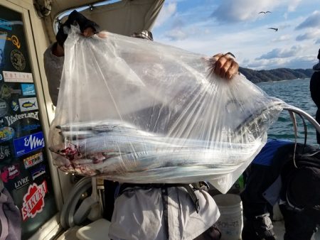 遊漁船　ニライカナイ 釣果