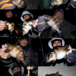 TOPGUN名古屋 釣果