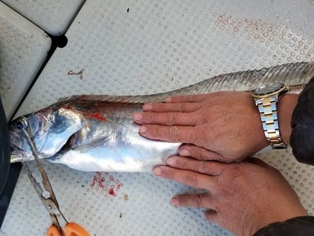 遊漁船　ニライカナイ 釣果