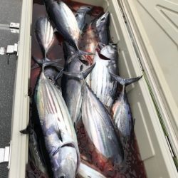 へいみつ丸 釣果