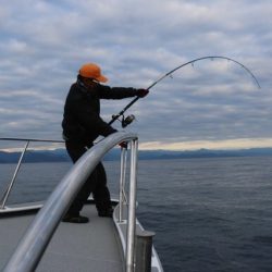 へいみつ丸 釣果
