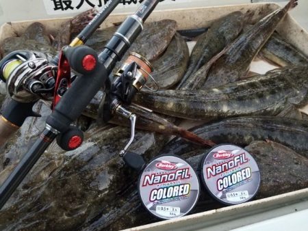 Magic（マジック） 釣果