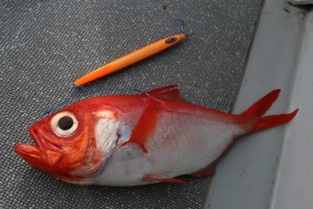 へいみつ丸 釣果