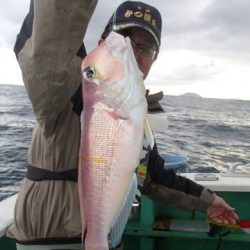 第二むつ漁丸 釣果