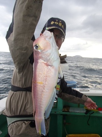 第二むつ漁丸 釣果