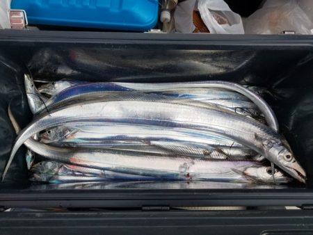 遊漁船　ニライカナイ 釣果