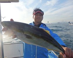 久里浜黒川本家 釣果