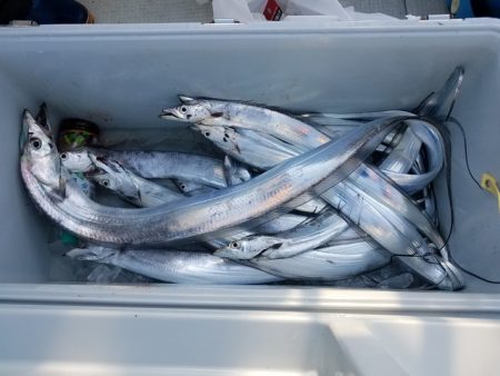 遊漁船　ニライカナイ 釣果