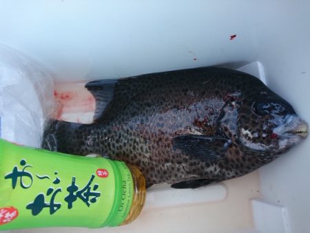 千津丸 釣果