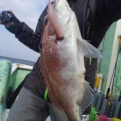 遊漁船 新鋭丸 釣果