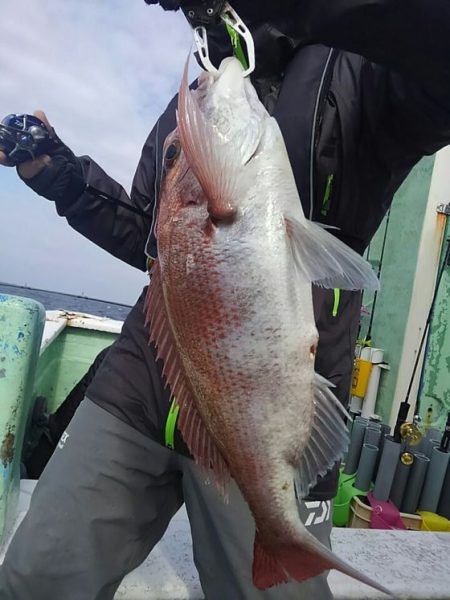 遊漁船 新鋭丸 釣果