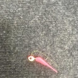 元根井でチビメバル