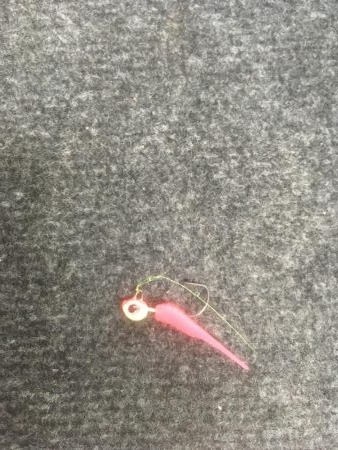 元根井でチビメバル