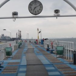 オリジナルメーカー海づり公園(市原市海づり施設) 釣果