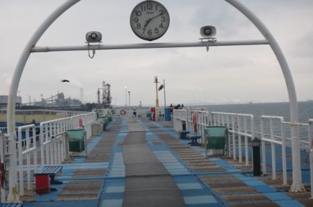 オリジナルメーカー海づり公園(市原市海づり施設) 釣果