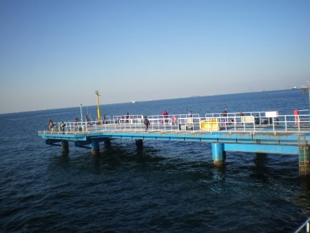 オリジナルメーカー海づり公園(市原市海づり施設) 釣果