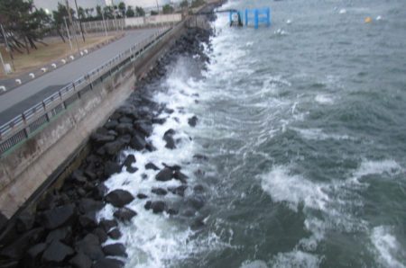 オリジナルメーカー海づり公園(市原市海づり施設) 釣果
