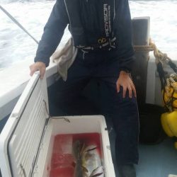 第五慶門丸 釣果