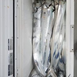 遊漁船　ニライカナイ 釣果