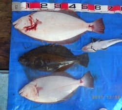 石川丸 釣果