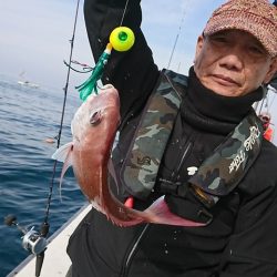 尚人丸 釣果
