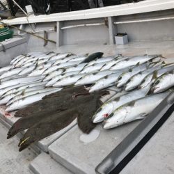 寿裕 （YOSHIHIRO） 釣果