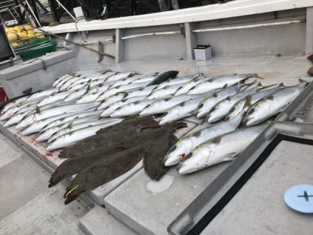 寿裕 （YOSHIHIRO） 釣果