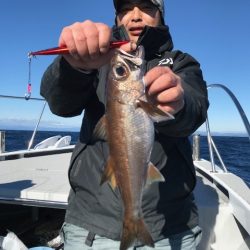 へいみつ丸 釣果