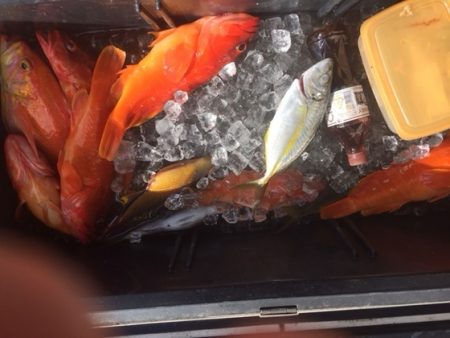 フィッシングハウス伊藤 釣果