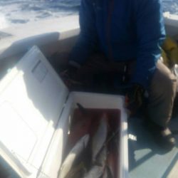 第五慶門丸 釣果