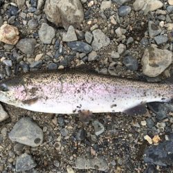 狭いが、そこそこ釣れて楽しめる