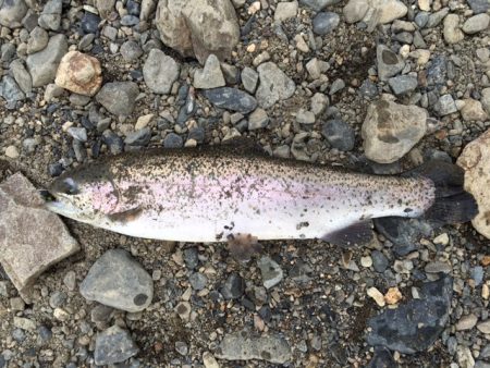 狭いが、そこそこ釣れて楽しめる