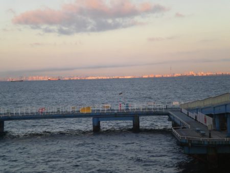 オリジナルメーカー海づり公園(市原市海づり施設) 釣果