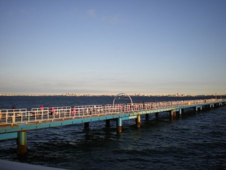 オリジナルメーカー海づり公園(市原市海づり施設) 釣果
